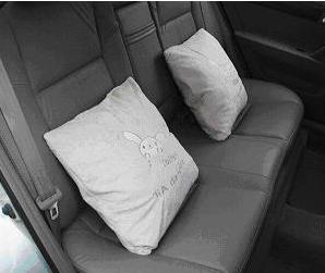 Carbon Pillow